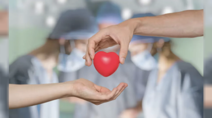 Captura de Pantalla 2024-08-29 a la(s) 15.32.43