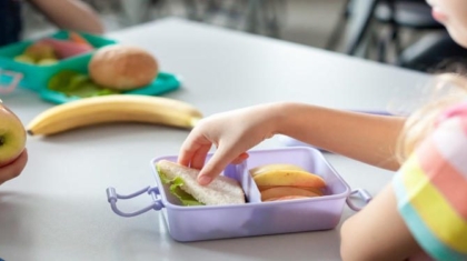 Viandas-escolares-saludables