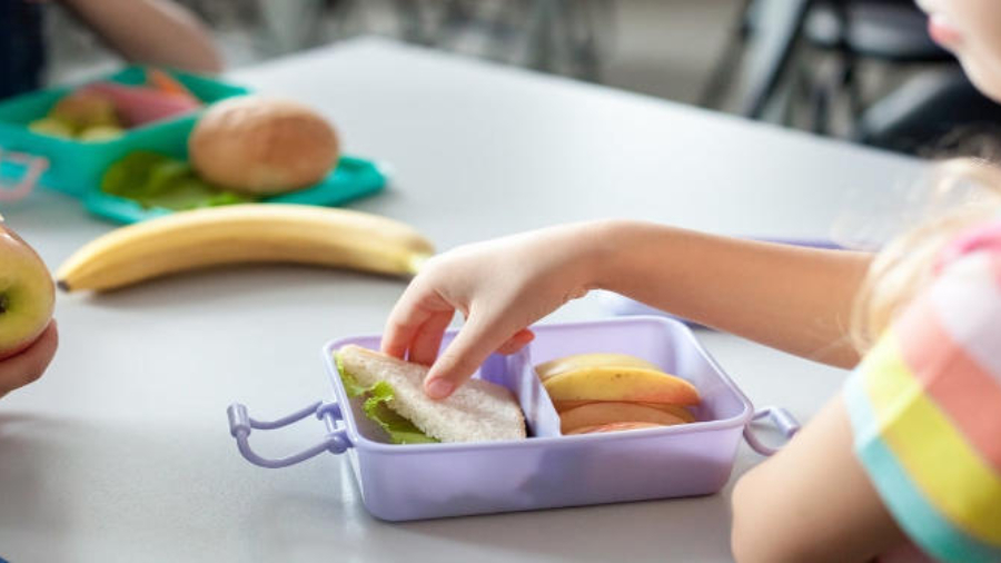 Viandas-escolares-saludables