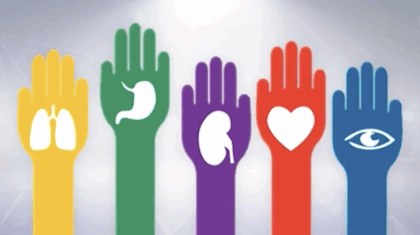 Captura de Pantalla 2025-05-30 a la(s) 15.41.00