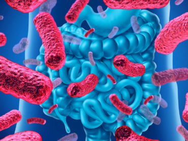microbiota