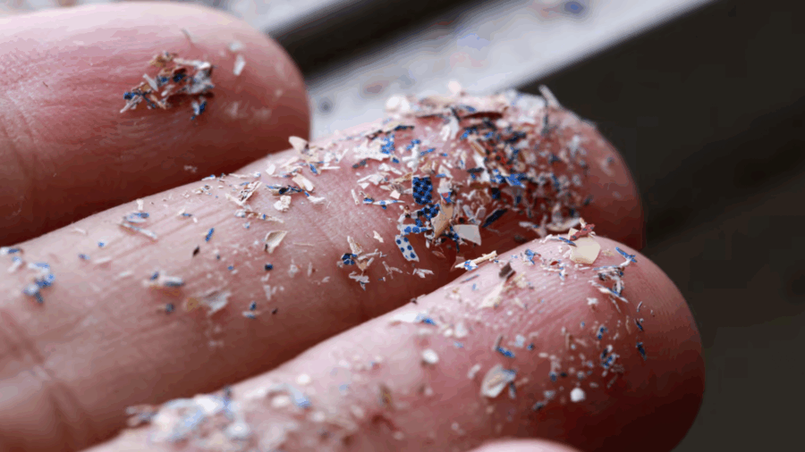 Captura de Pantalla 2025-08-06 a la(s) 10.14.25