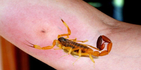 multimedia.normal.9475387137c237bd.576861747341707020496d61676520323032302d31302d32322061742031352e5f6e6f726d616c2e6a706567