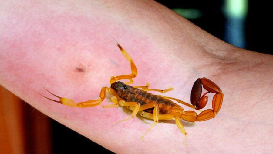 multimedia.normal.9475387137c237bd.576861747341707020496d61676520323032302d31302d32322061742031352e5f6e6f726d616c2e6a706567